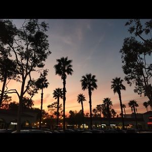 Meet your Posher, Breanna